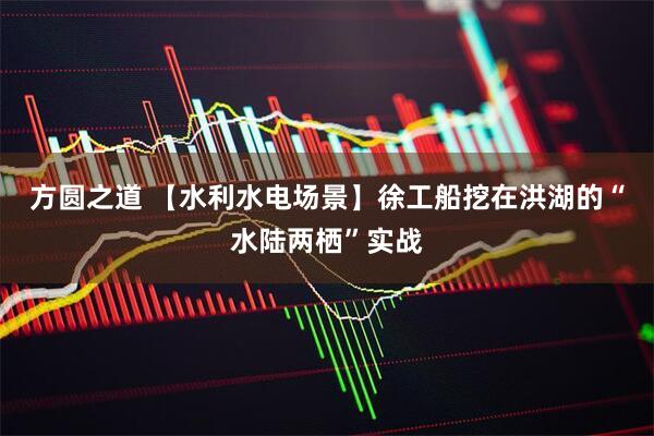 方圆之道 【水利水电场景】徐工船挖在洪湖的“水陆两栖”实战